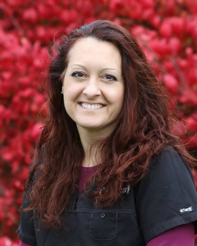 Shayna, CVT