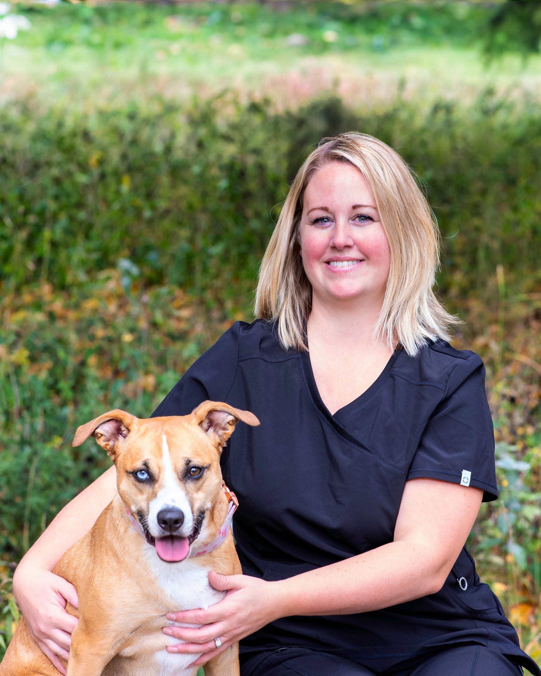 CountrySide Veterinary services
